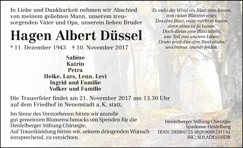  Traueranzeige für Hagen Albert Düssel vom 16.11.2017 aus 