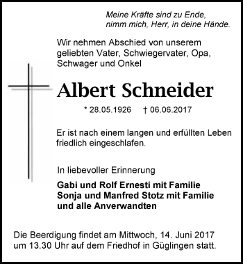 Traueranzeige von Albert Schneider 