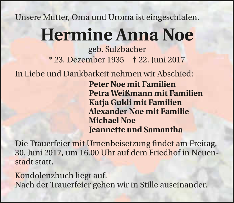  Traueranzeige für Hermine Anna Noe vom 28.06.2017 aus 