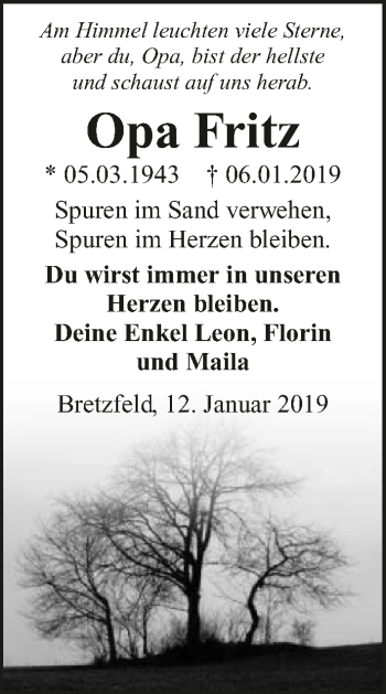 Traueranzeige von Fritz  