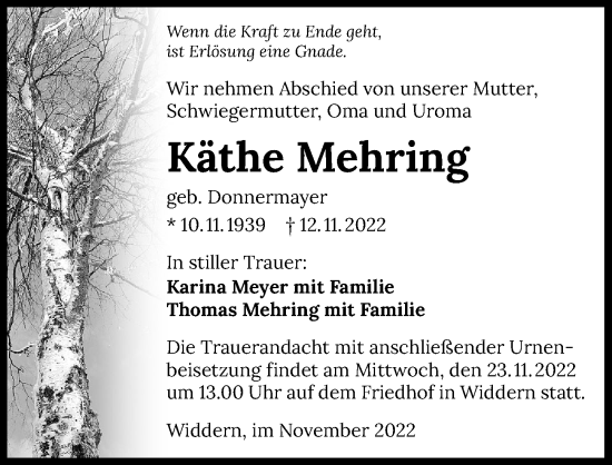 Traueranzeige von Käthe Mehring von Heilbronner Stimme