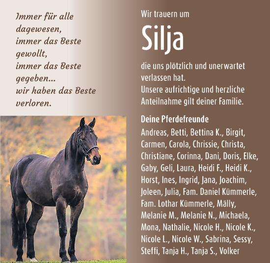 Traueranzeige von Silja Wohl von Heilbronner Stimme