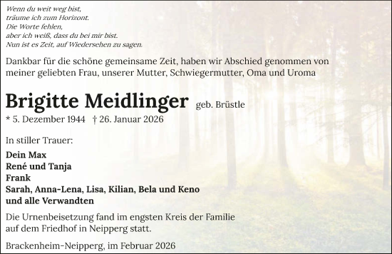 Traueranzeige von Brigitte Meidlinger von GESAMT