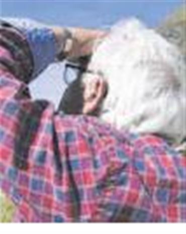 Profilbild Günter Schneider