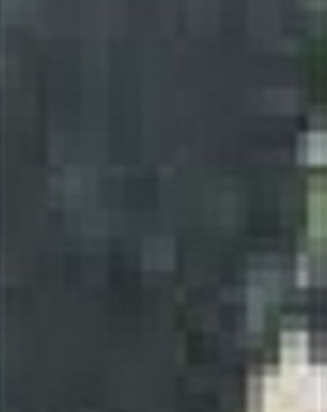 Profilbild Manfred Stühler