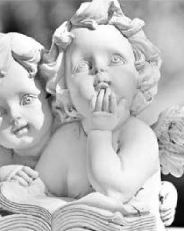 Profilbild von Sigrid Feil