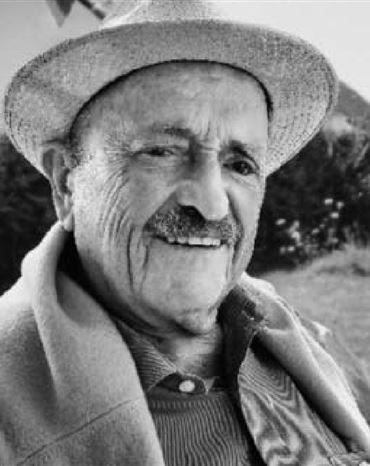 Profilbild Walter Vogt