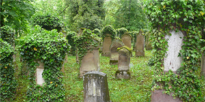 Jüdischer Friedhof Sontheim