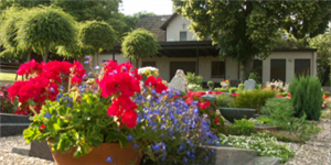 Friedhof Bad Wimpfen