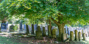 Jüdischer Friedhof Affaltrach