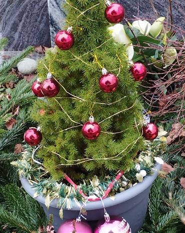 Profilbild Theresia Trunk